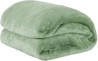 Cobertor Casal Manta Microfibra Fleece 01 Peça Erva Doce